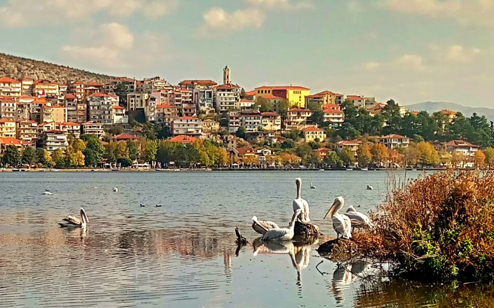 Οδός Αγάπης για την Μάνη ....... 'Αντζελας Γκερέκου